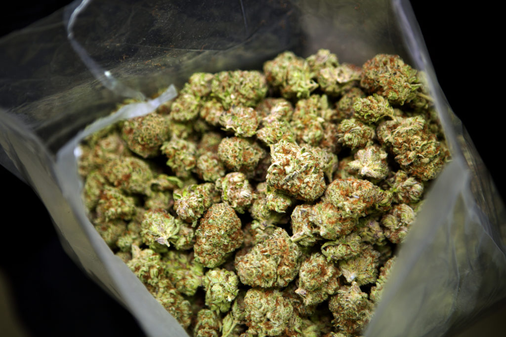 Copy of Maine_Bud_04