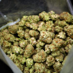 Copy of Maine_Bud_04