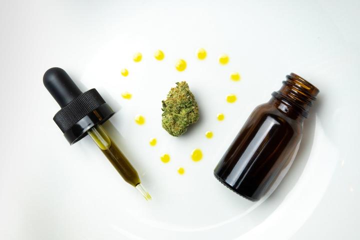 Cancer and Cannabis Enterpreneur